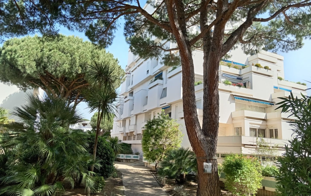 AB IMMO : Appartement | LA GRANDE-MOTTE (34280) | 45 m2 | 290 000 € 